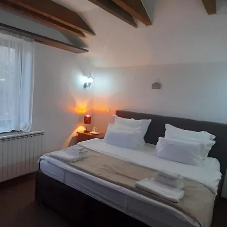 Teuta Palace Dom Faletici Отель 3*